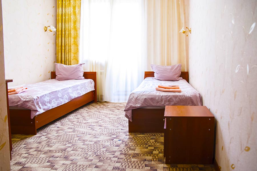 ДВМ Стандартный