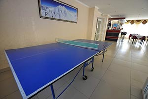 Настольный теннис